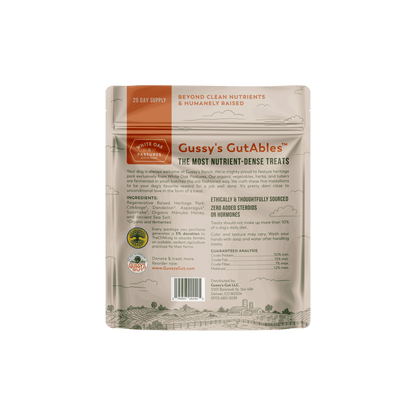 Dispensador de Agua para Mascotas