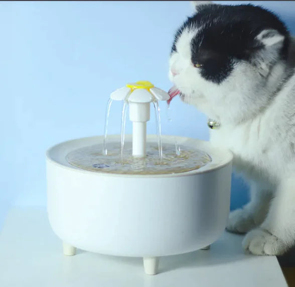 Dispensador de Agua para Mascotas