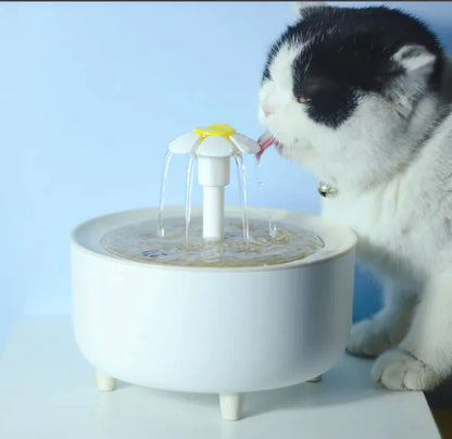 Dispensador de Agua para Mascotas